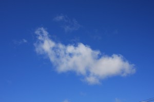 台風一過の秋晴れ!