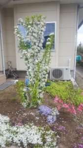 20170427_072133
