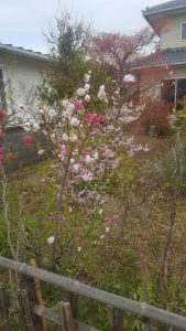20170427_072213